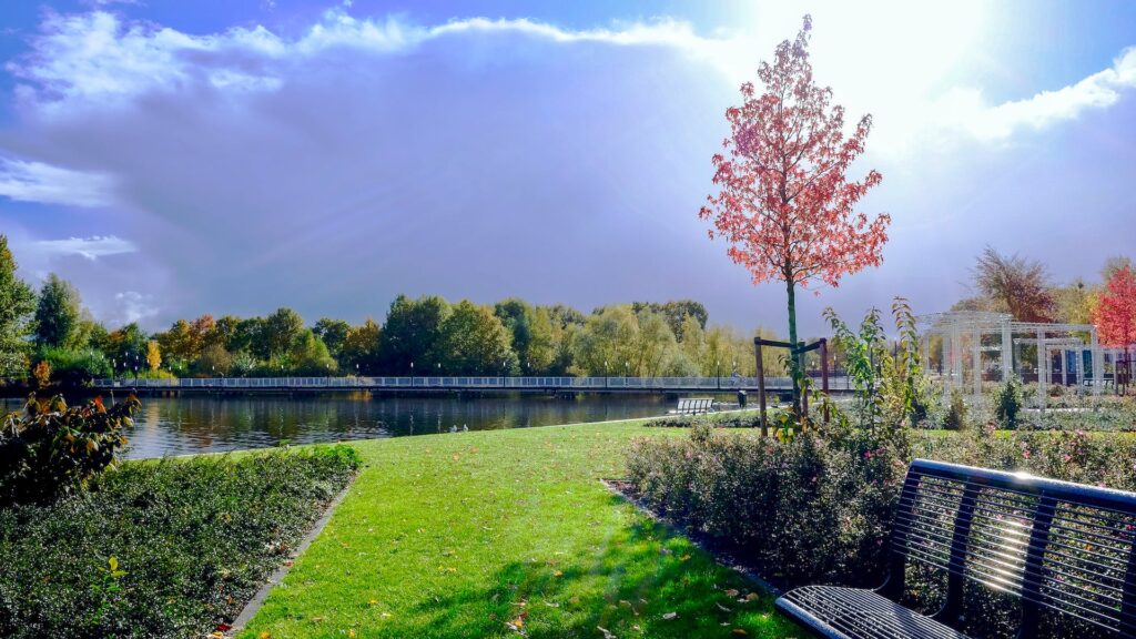 Lawn Care Company in Columbia SC, Commercial Lawn Care Company in Columbia SC, Lawn Care and Maintenance Services, Landscaping Services in Columbia SC,